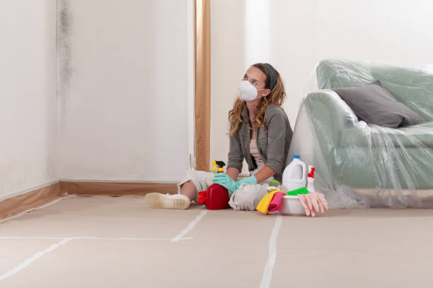 Reliable Commercial Mold Remediation contractor in Jamestown, KY by WQB Mold Removal